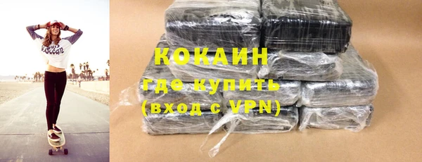 индика Горно-Алтайск