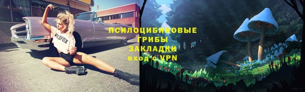 индика Алагир