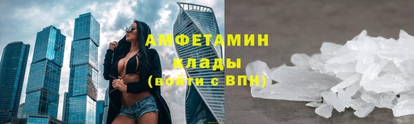 индика Горно-Алтайск