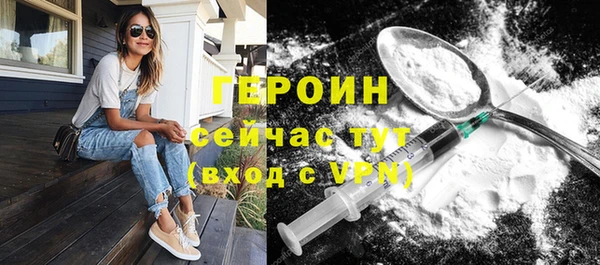 индика Алагир
