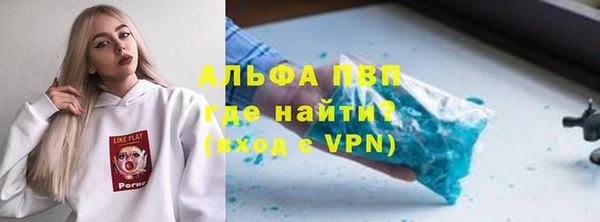 индика Горно-Алтайск
