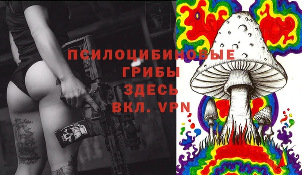 амф Горнозаводск