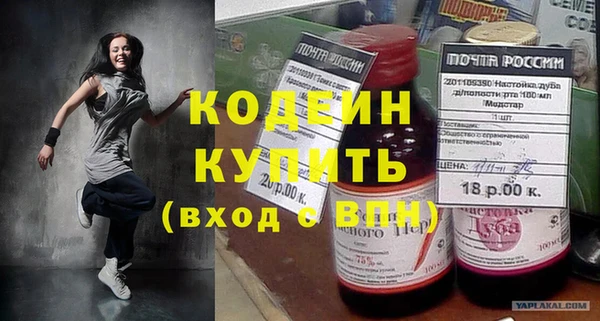 индика Горно-Алтайск