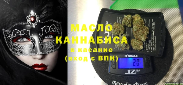 индика Горно-Алтайск