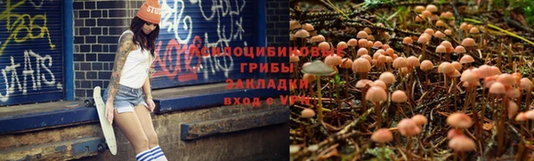 амф Горнозаводск