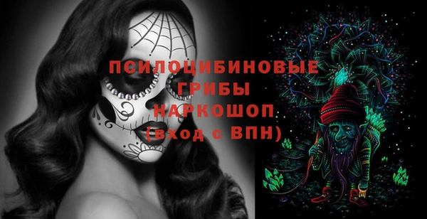 индика Горно-Алтайск