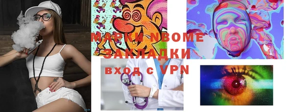 индика Алагир