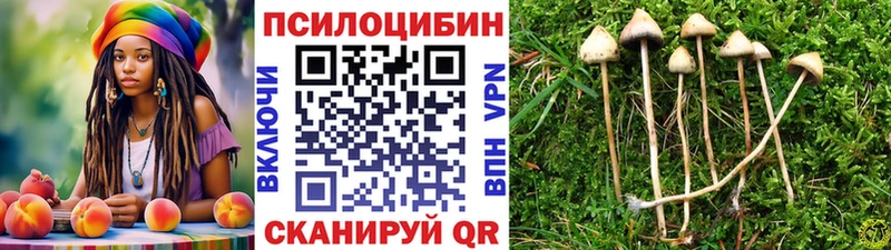 хочу наркоту  Дивногорск  Псилоцибиновые грибы ЛСД 