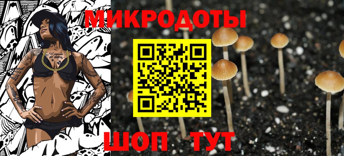 Галлюциногенные грибы MAGIC MUSHROOMS Дивногорск