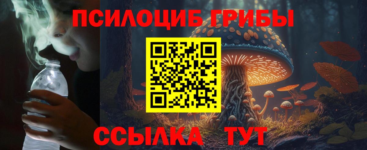 Псилоцибиновые грибы Cubensis  Вход с VPN  закладки  Галлюциногенные грибы Psilocybe  Дивногорск 
