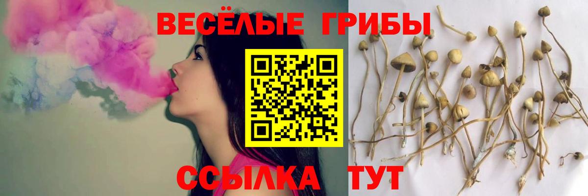 Галлюциногенные грибы прущие грибы  Дивногорск 