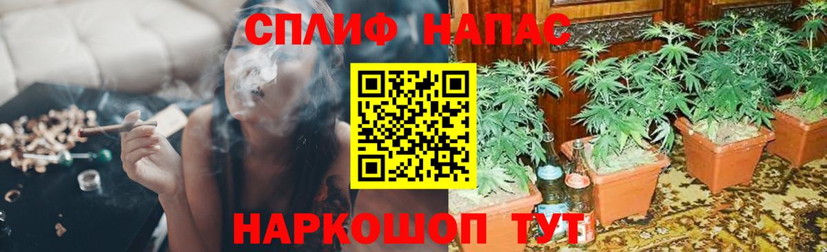 Бошки марихуана LSD WEED  Вход с VPN  Бошки марихуана индика  Дивногорск  Канабис SATIVA & INDICA 